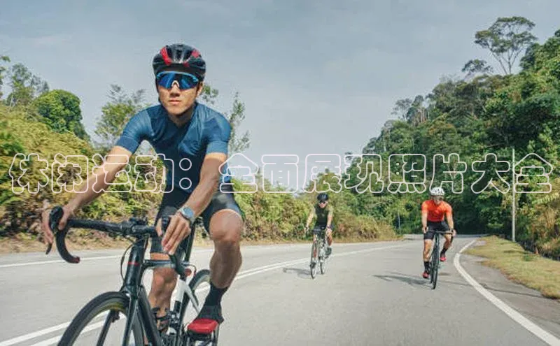 28圈注册网页版