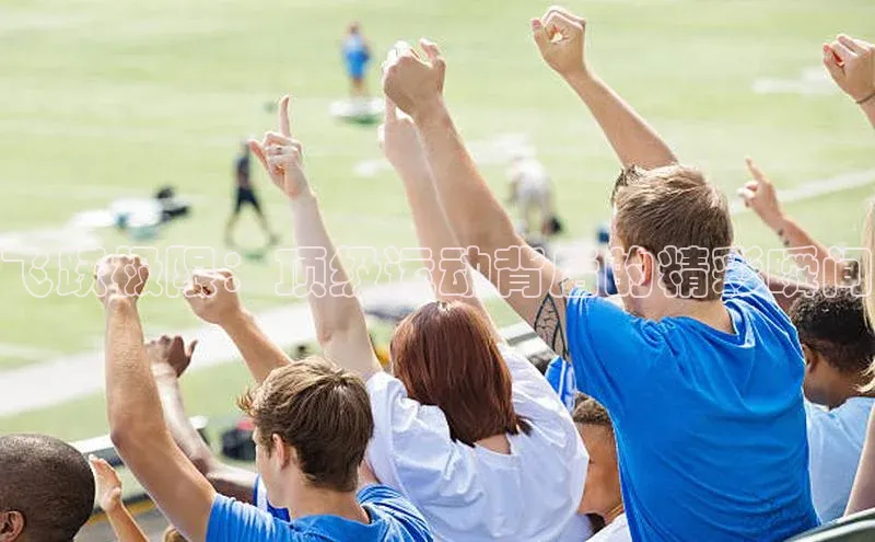 加拿大2.8平台下载