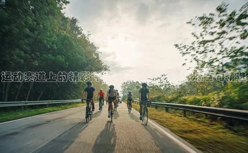 28圈注册网页版